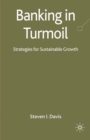 Banking in Turmoil : Strategies for Sustainable Growth - eBook
