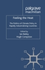 Feeling the Heat : The Politics of Climate Policy in Rapidly Industrializing Countries - eBook