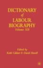 Dictionary of Labour Biography : Volume XI - eBook
