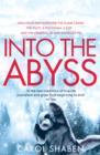 Into the Abyss - eBook