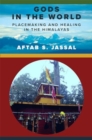 Gods in the World : Placemaking and Healing in the Himalayas - Book