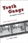 Youth Gangs and Community Intervention : Research, Practice, and Evidence - eBook