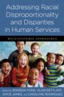 Addressing Racial Disproportionality and Disparities in Human Services : Multisystemic Approaches - eBook