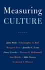 Measuring Culture - eBook