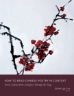 How to Read Chinese Poetry in Context : Poetic Culture from Antiquity Through the Tang - eBook