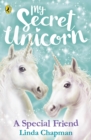 My Secret Unicorn: A Special Friend - Book