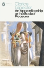 An Apprenticeship or The Book of Pleasures - Book