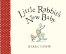 Little Rabbit's New Baby - eBook