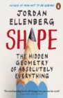 Shape : The Hidden Geometry of Absolutely Everything - eBook
