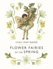 Flower Fairies of the Spring - eBook