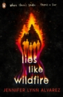Lies Like Wildfire - eBook
