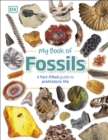 My Book of Fossils : A fact-filled guide to prehistoric life - Book