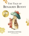 The Tale of Benjamin Bunny Picture Book - eBook