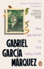 The General in His Labyrinth - Book
