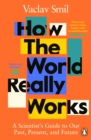 How the World Really Works : A Scientist s Guide to Our Past, Present and Future - eBook
