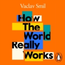 How the World Really Works : A Scientist's Guide to Our Past, Present and Future - eAudiobook