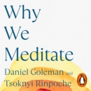 Why We Meditate : 7 Simple Practices for a Calmer Mind - eAudiobook