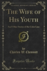 The Wife of His Youth : And Other Stories of the Color Line - eBook
