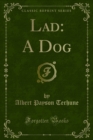 Lad: A Dog - eBook