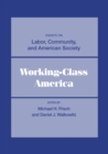 Working-Class America : Essays on Labor, Community, and American Society - eBook