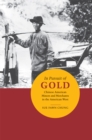 In Pursuit of Gold : Chinese American Miners and Merchants in the American West - eBook