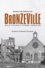 Along the Streets of Bronzeville : Black Chicago's Literary Landscape - eBook