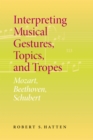 Interpreting Musical Gestures, Topics, and Tropes : Mozart, Beethoven, Schubert - eBook