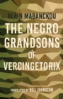 The Negro Grandsons of Vercingetorix - eBook