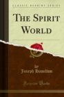 The Spirit World - eBook