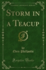 Storm in a Teacup - eBook