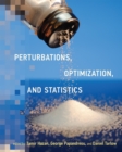 Perturbations, Optimization, and Statistics - Book