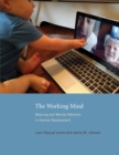 The Working Mind : Meaning and Mental Attention in Human Development - Book