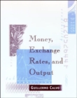 Money, Exchange Rates, and Output - eBook