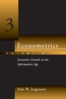 Econometrics : Economic Growth in the Information Age - eBook