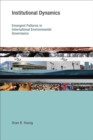 Institutional Dynamics : Emergent Patterns in International Environmental Governance - eBook