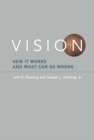 Vision : How It Works and What Can Go Wrong - eBook