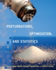 Perturbations, Optimization, and Statistics - eBook