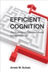 Efficient Cognition : The Evolution of Representational Decision Making - eBook