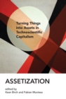 Assetization - eBook