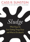 Sludge : What Stops Us from Getting Things Done and What to Do about It - eBook