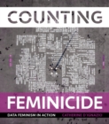 Counting Feminicide - eBook