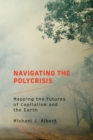 Navigating the Polycrisis - eBook