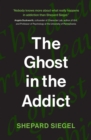 Ghost in the Addict - eBook