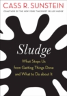 Sludge : What Stops Us from Getting Things Done and What to Do about It - Book