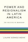 Power and Regionalism in Latin America : The Politics of MERCOSUR - eBook