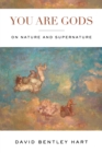 You Are Gods : On Nature and Supernature - eBook