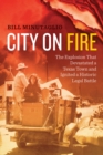 City on Fire : The Explosion that Devastated a Texas Town and Ignited a Historic Legal Battle - eBook
