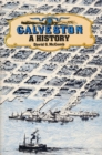 Galveston : A History - eBook