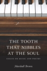 The Tooth That Nibbles at the Soul : Essays on Music and Poetry - eBook