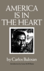 America Is in the Heart : A Personal History - eBook